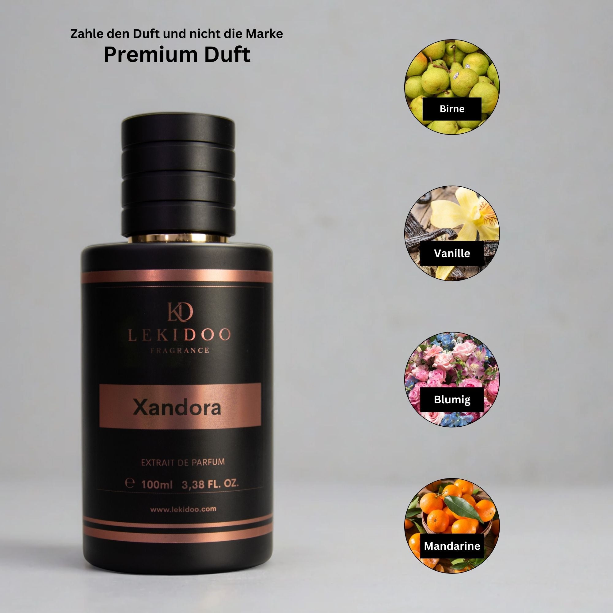 Xandora